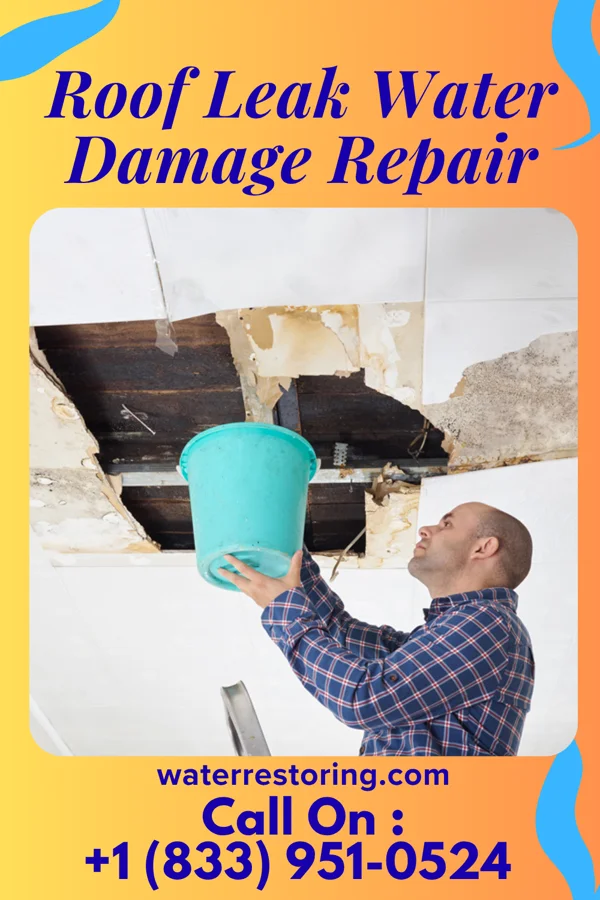 Roof Leak Water Damage Repair in Minatare, NE